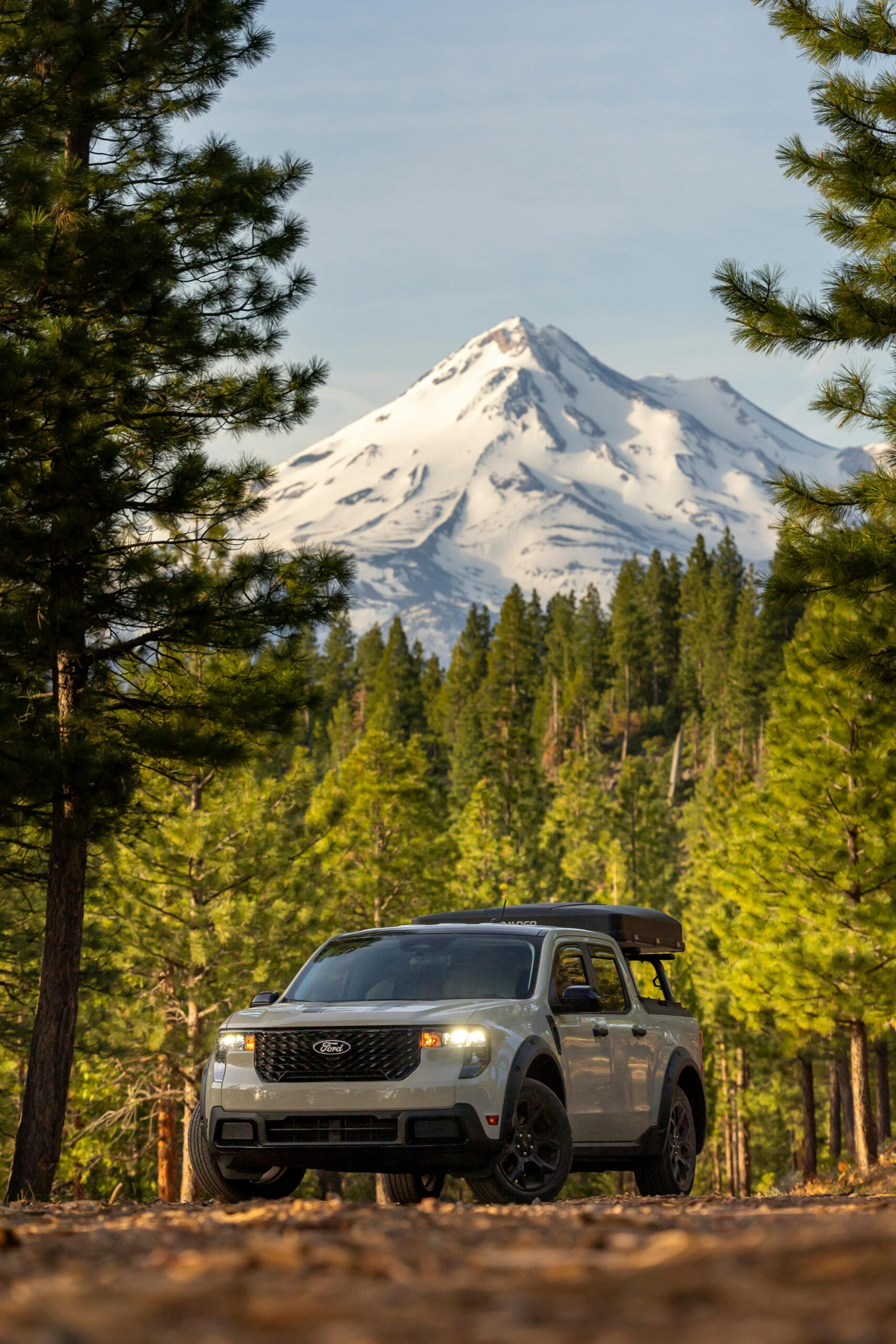 Capture of a vehicle nestled in a pine forest with towering snow-capped mountain.